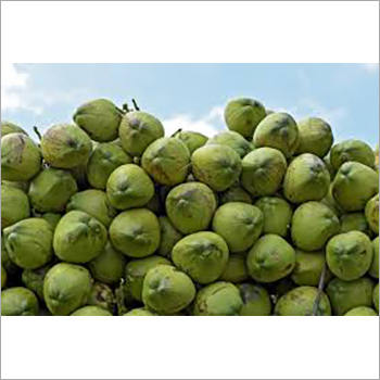 Fresh Coconut