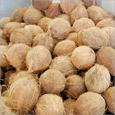Brown Husked Coconut