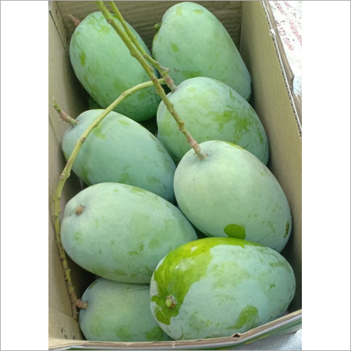 Fresh Raw Mango