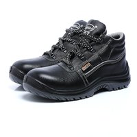 ISI safety Shoes
