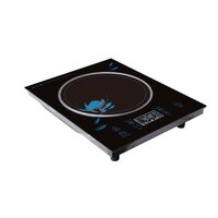 Induction Cooker