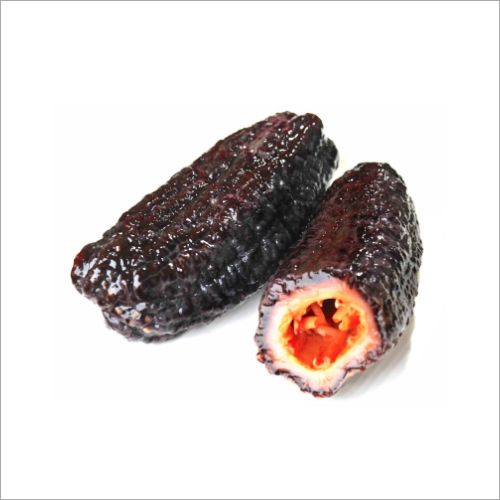 Sea Cucumber