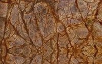 Bidasar Marble - Color: Brown