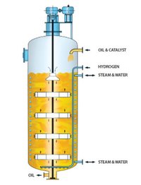 Hydrogenation Plant Capacity: As Per Clients Need Kg/hr