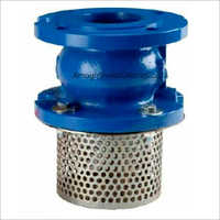Ductile Cast Iron Foot Valve Application: Industrial