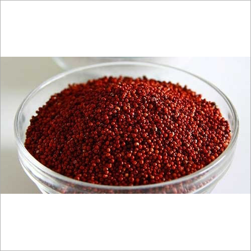 Red Finger Millet