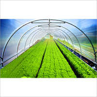 Green House Film - Ldpe/lldpe Blend, Customizable Length & Width, Various Thickness Options, Uv & Thermal Resistant | Durable Film, Faster Growth, Increased Yield, Pest Control, Water Saving