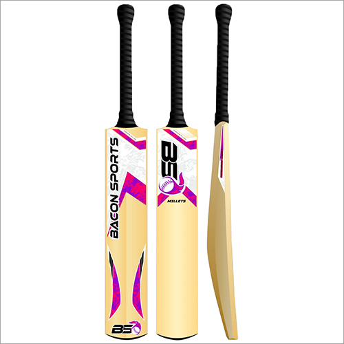 Kashmir Willow Bat Age Group: Children