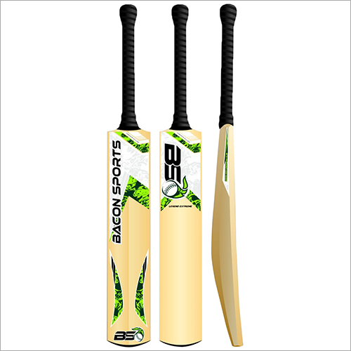 Kashmir Willow Bat Age Group: Children