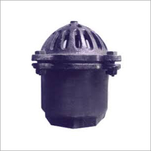 CI Foot Valve