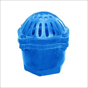 Foot Valves