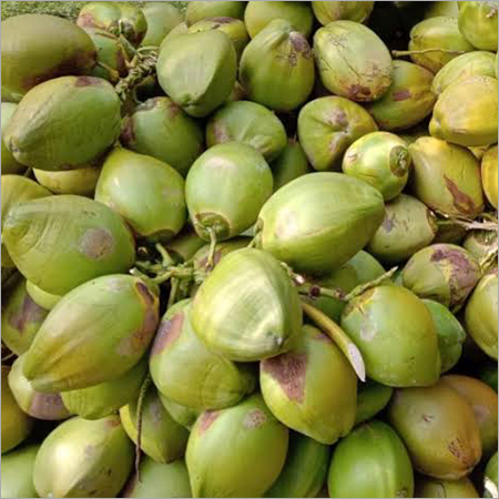 Green Fresh Tender Coconut