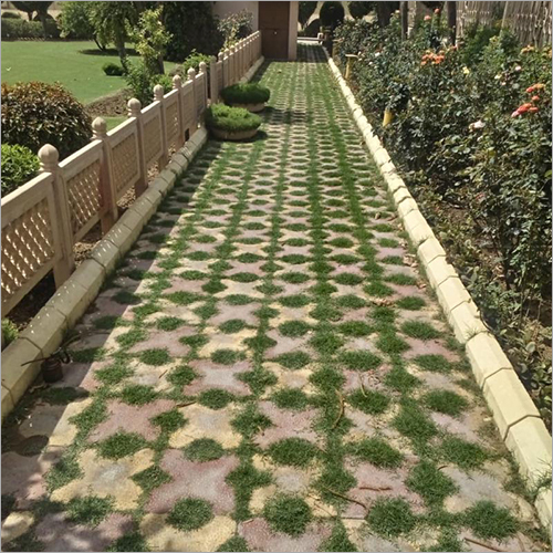 Yellow & Brown Garden Walkway