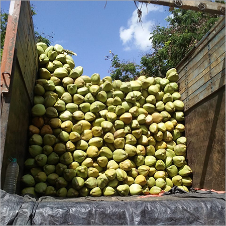 COCONUT