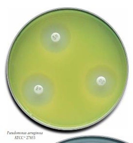 MUELLER HINTON AGAR + 5% HORSE BLOOD LYSED