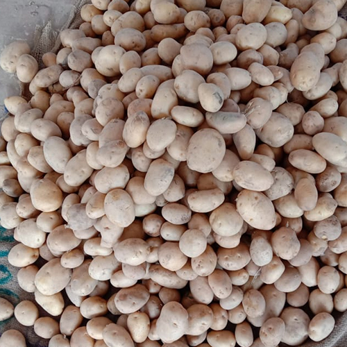 Sugar Free Potatoes