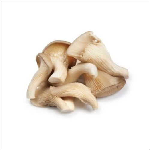 Fresh White Oyster Mushroom