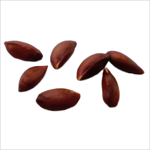 Brown Apple Seeds