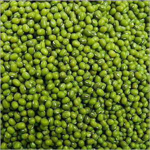 Green Moong Dal Seeds