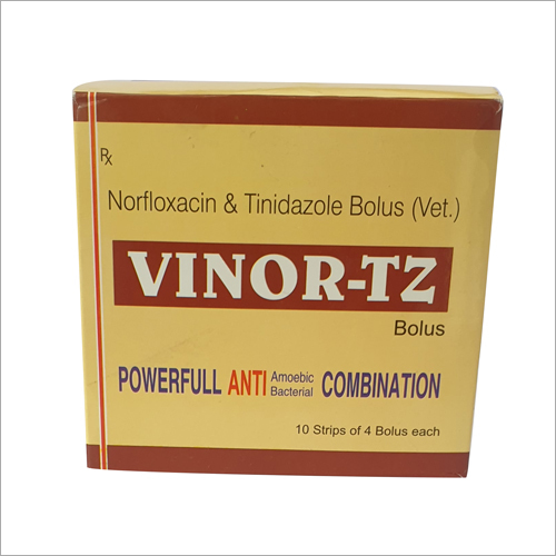 Norfloxacin and Tinidazole Bolus Strip