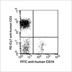 CD19 Monoclonal Antibody(FITC Conjugated)