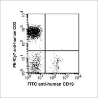 CD19 Monoclonal Antibody(FITC Conjugated)