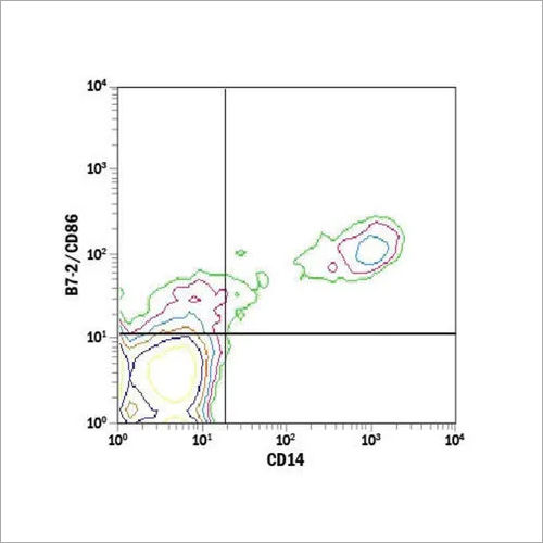 CD86 Monoclonal Antibody