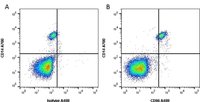 CD86 Monoclonal Antibody(PE/Cyanine5 Conjugated)