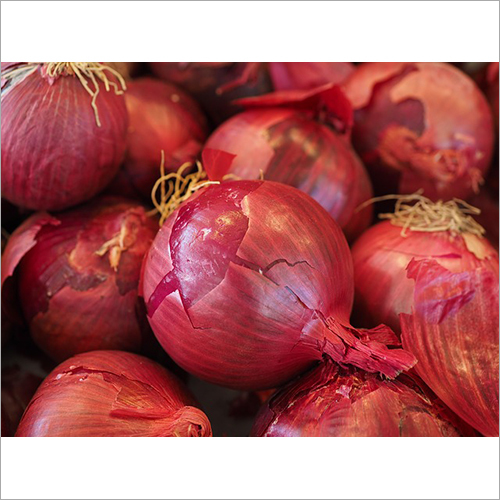 Onion