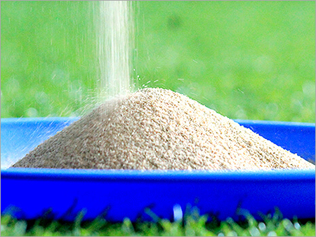 Sodium Alginate Gum Powder