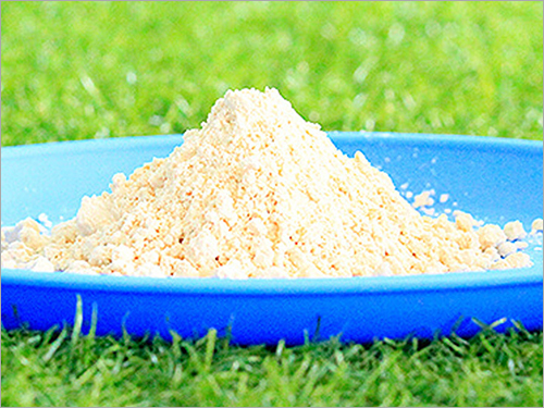 Tamarind Kernel Powder