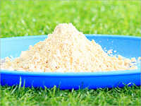 Tamarind Kernel Powder