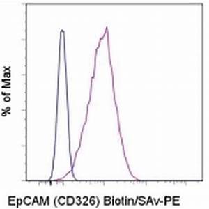 CD326 Monoclonal Antibody(PE Conjugated)[9C4]