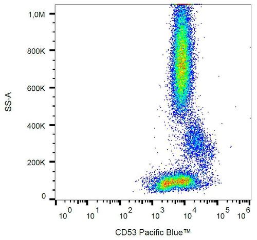 CD53 Monoclonal Antibody