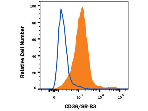 CD36 Monoclonal Antibody