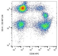 CD36 Monoclonal Antibody