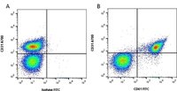 CD61 Monoclonal Antibody(FITC Conjugated)[VI-PL2]