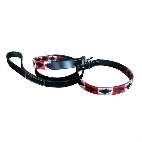 Leather Dog Collar With Leash - Application: Small Animals