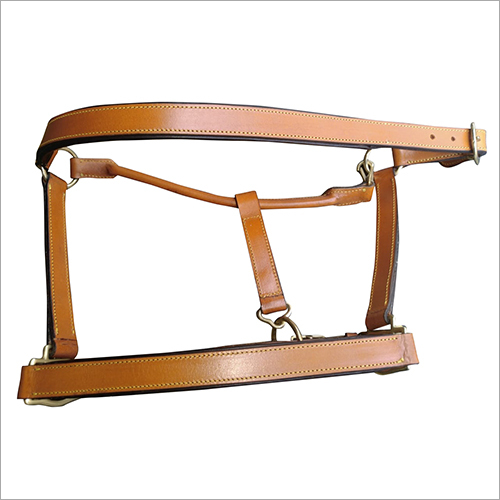 Leather Halter Bridle - Application: Horse Training