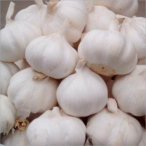 Natural Fresh White Garlic