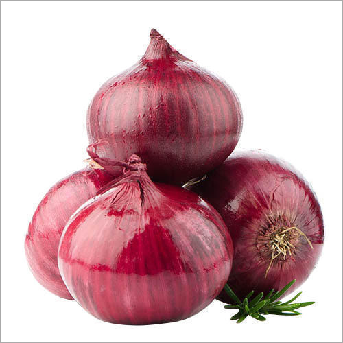 Natural Indian Fresh Red Onion