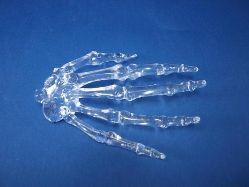 Transparent Hand With Finger Model