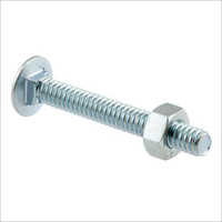 Stainless Steel Carriage Bolt - Color: Silver