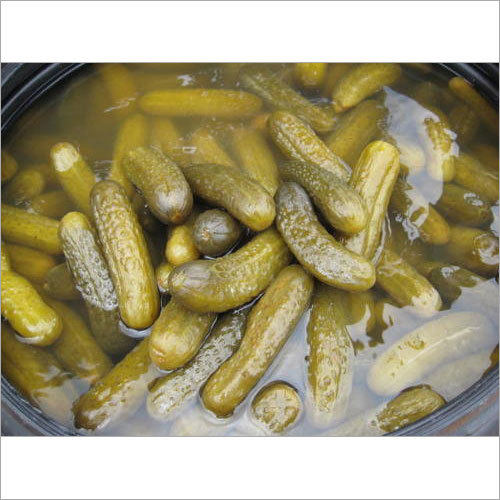 Gherkins In Salt Brine