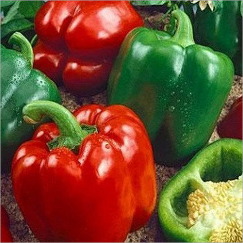 Preserved Bell Pepper By GOOD GREENS INDIA PVT. LTD.