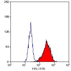 CD90 Monoclonal Antibody(FITC Conjugated)[5E10]