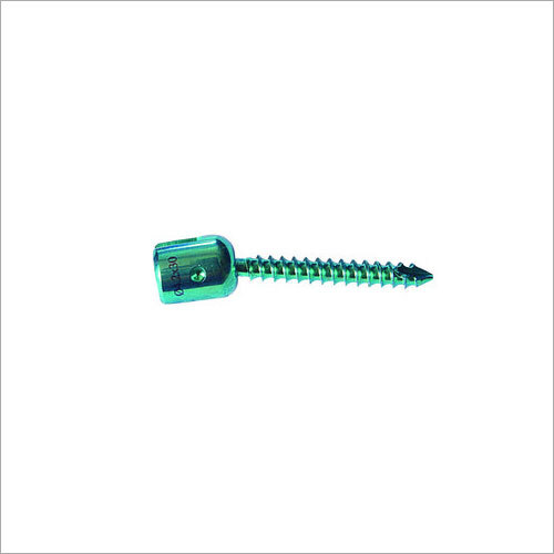 Polyaxial  Screw