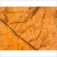 Rain Forest Brown Marble - Unpolished Indian Marble For Flooring, Staircase, Walls | Versatile Applications, Warm Golden Color, Various Shapes Available