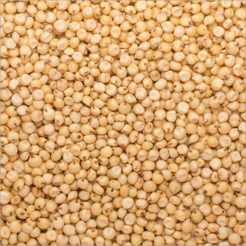 Yellow Sorghum Millet