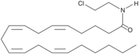 Arachidonoyl 2'-Chloroethylamide
